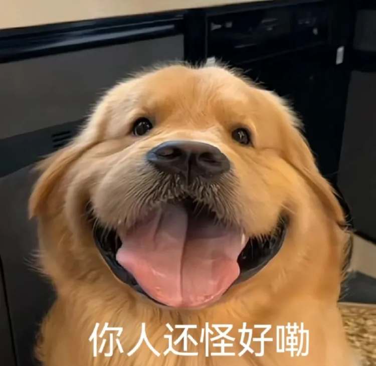 说大学生“清澈又愚蠢”?我第一个不服